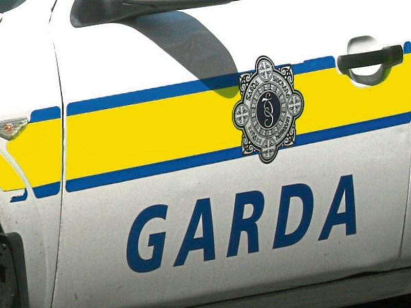 €12k of drugs found in Newbridge house raid
