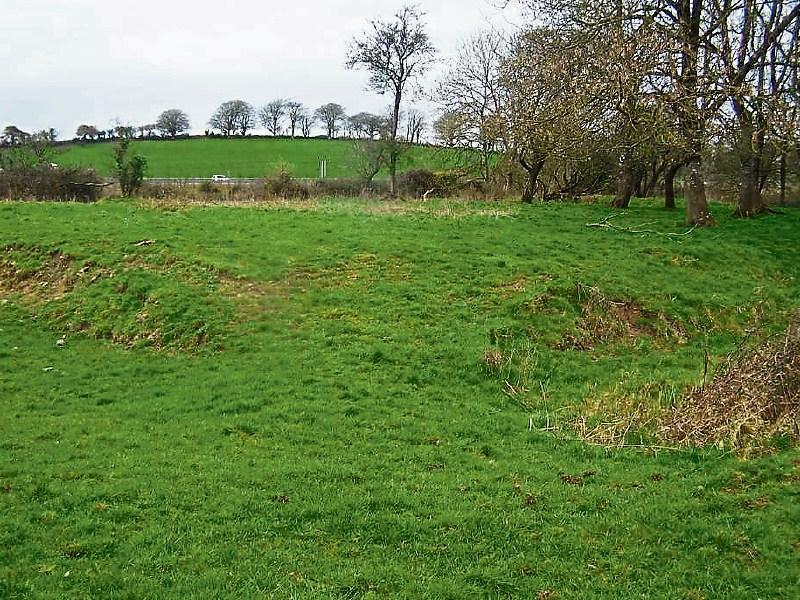 Department objects to Kildare development
