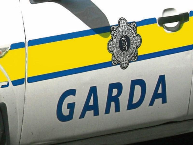 Kildare is short 268 Garda personnel - claim