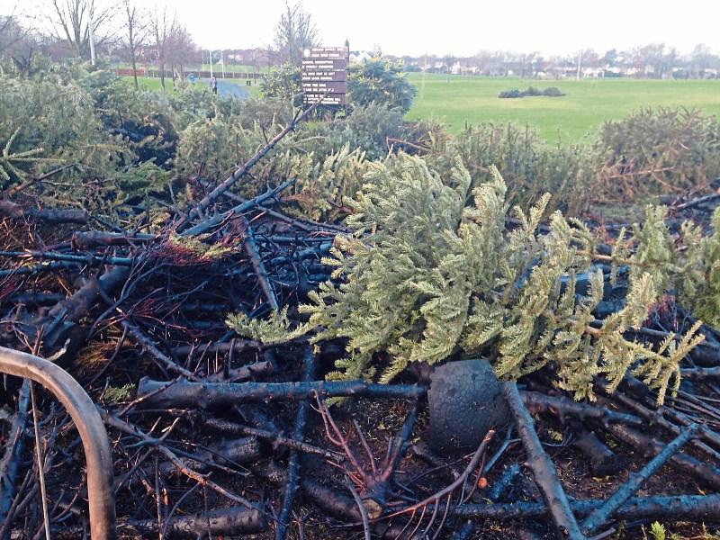 CCTV shows Christmas tree fires in Naas were deliberate