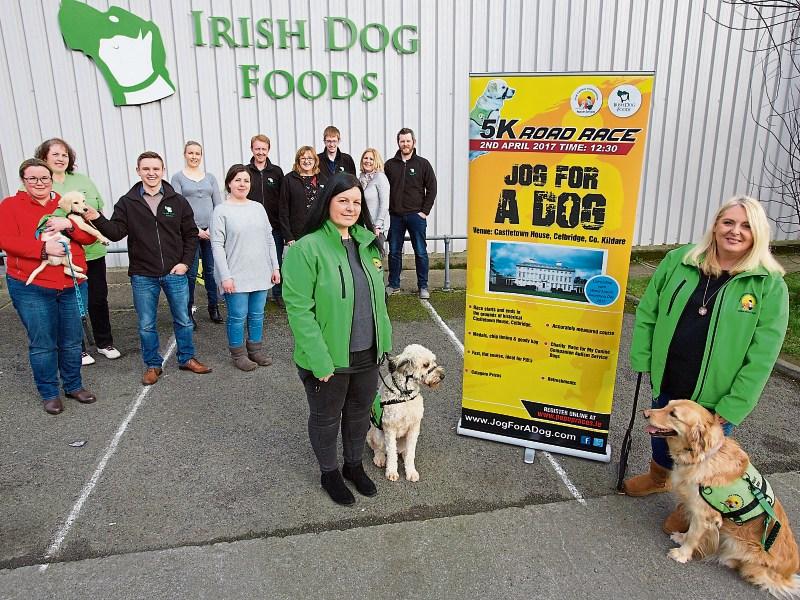 Jog for a Dog returns to Kildare's Castletown House Kildare Live
