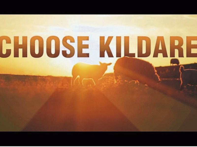 VIDEO: Watch sun-dappled sheep frolicking in sexy new Kildare marketing video
