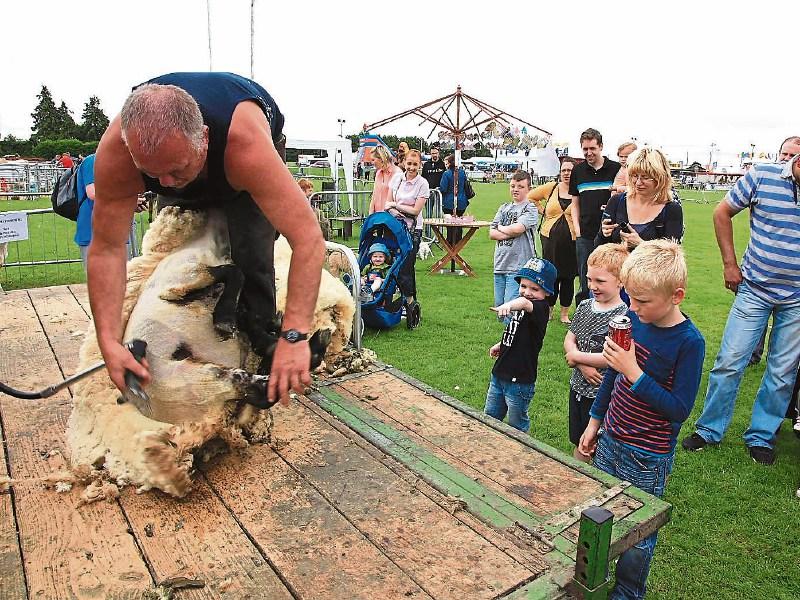 Future of Kildare County Show at risk