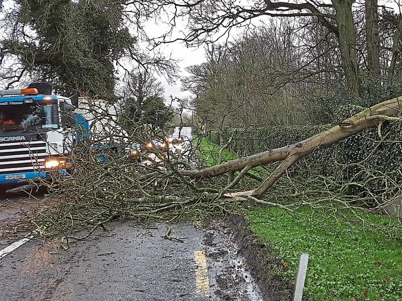 Kildare recovering from impact of Storm Dorris