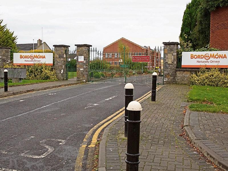 Further info sought on Kildare Bord na Mona horticultural factory