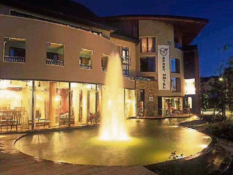 Bedrooms extension planned for Osprey Hotel in Naas