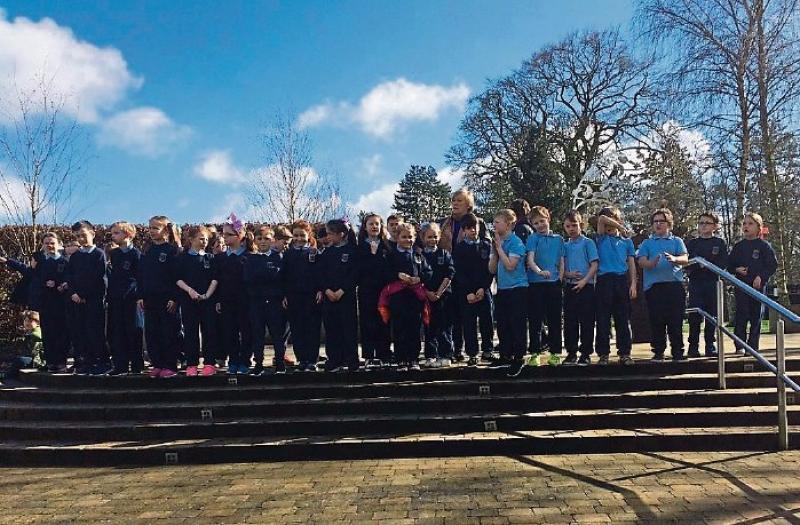 Planting trees for tree week at the national stud