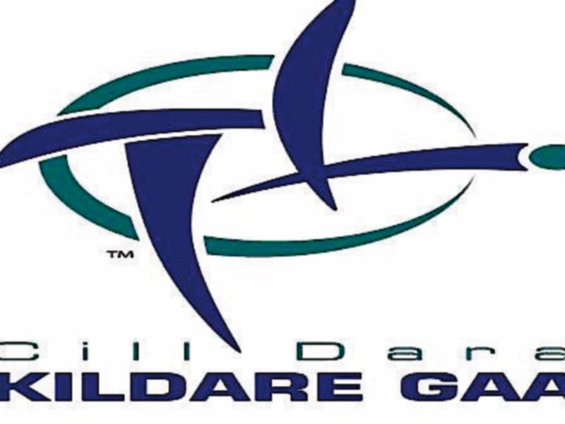 Kildare lineout for vital AHL against Carlow