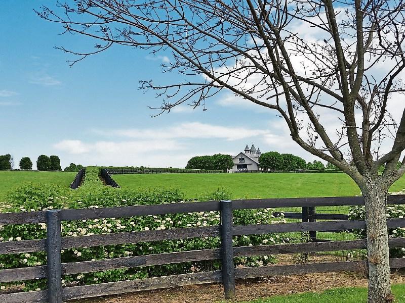 Calling Kildare teens - fancy a trip to Kentucky?