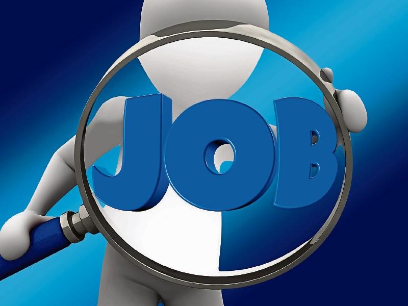 Kildare jobs roundup: who's hiring in the county this week?