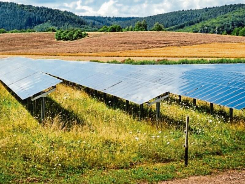 Second solar farm gets go ahead in Kildare