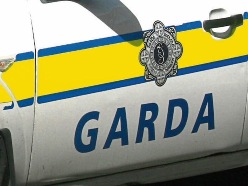 Gardai appeal for witnesses to fatal road accident near Dunboyne