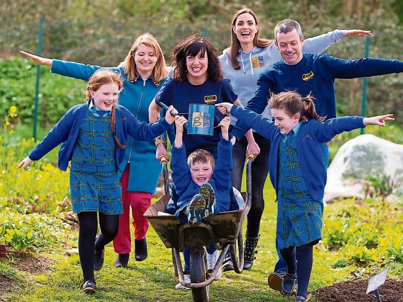 Two Kildare projects awarded Grow It Yourself (GIY) grants Kildare Live