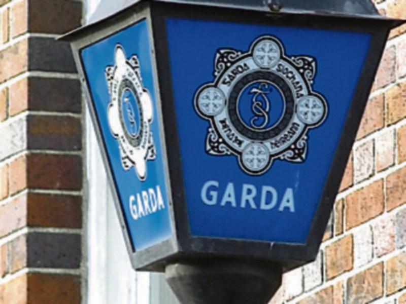 Gardai appeal for witnesses to yesterday's fatal Athy collision in which a woman died after being hit by a truck 