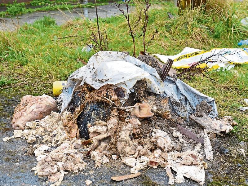 Kildare County Council rejects waste collection discount move Kildare