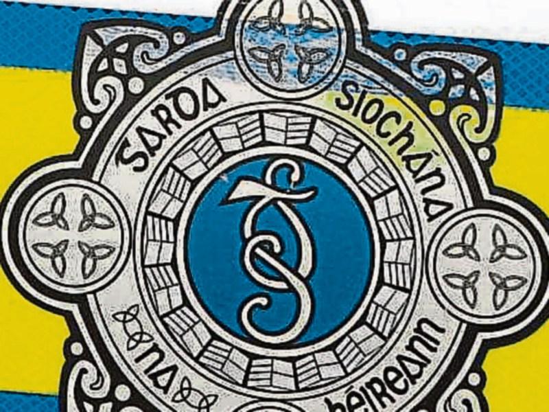 Suspicious youths seen near Kilteel burglary