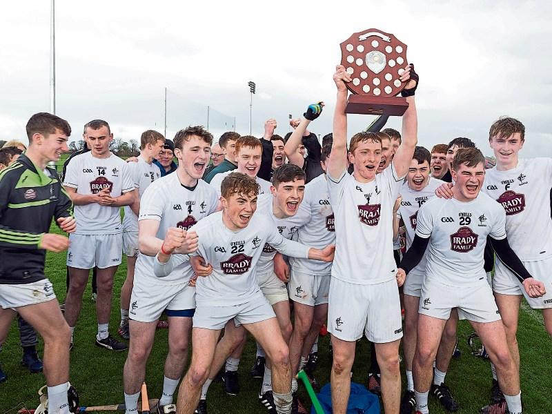 Minor hurlers capture Leinster League after marathon