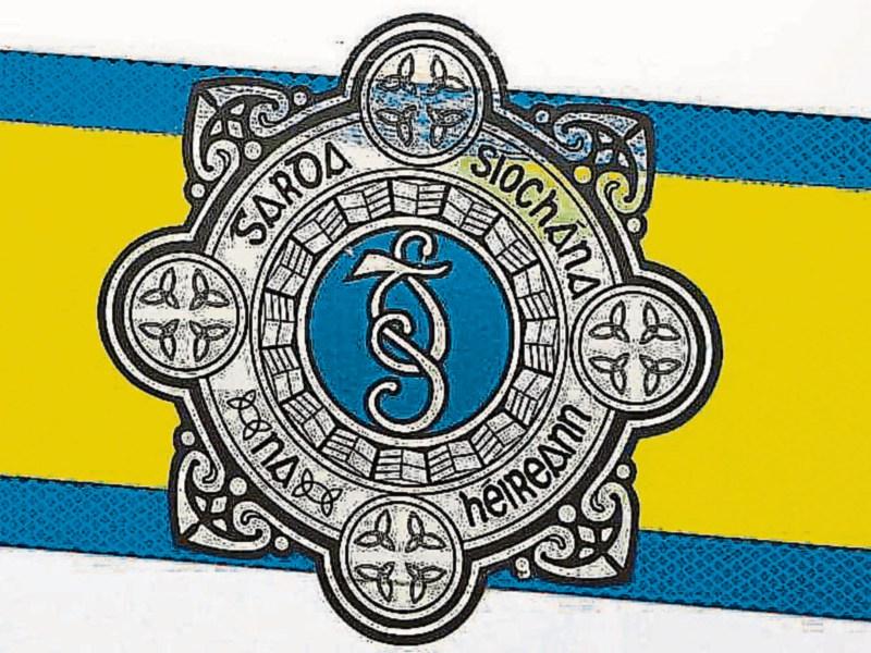 Two men interrupted while trying to steal tools from Kildare shed