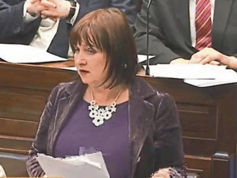 Kildare TD calls for the extension of maternity leave for mothers of premature babies in the Dáil 