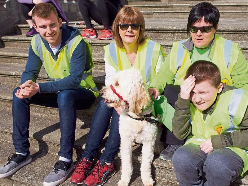Kildare charity run raises over €11,000 for autism service dogs