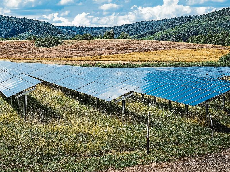 New solar farm plans lodged for outskirts of Kildare town