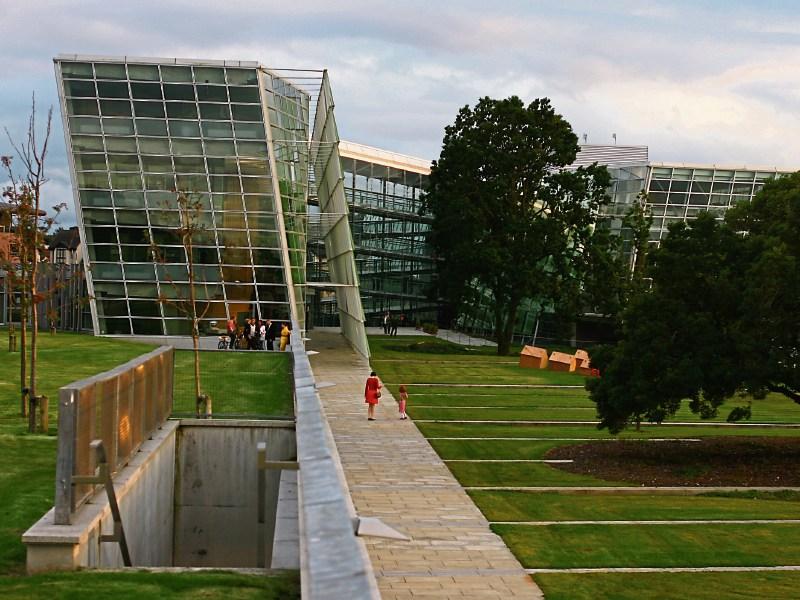 More information sought on plan to build 183 Naas houses