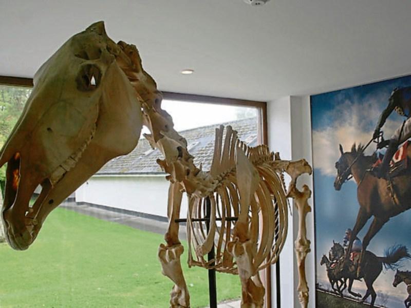 Renewal plans for Kildare town's Irish National Stud museum