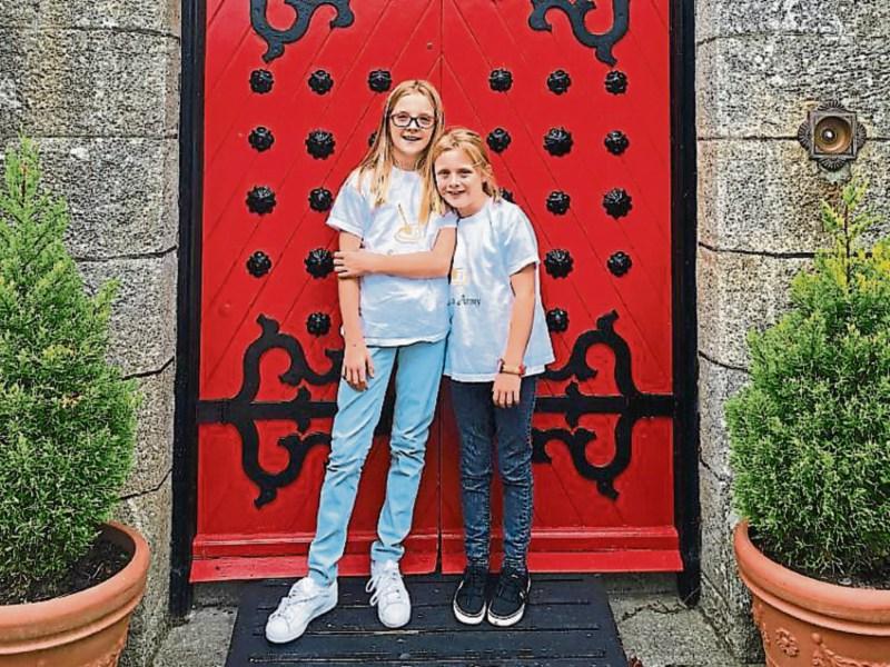 Restaurants asked to go wild for Naas festival