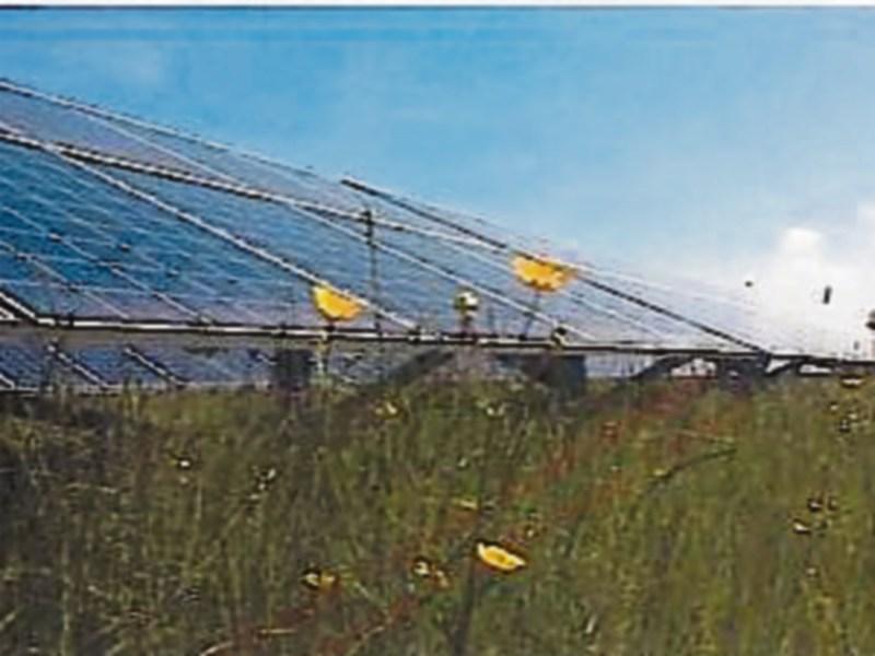 Another solar farm gets go ahead in Kildare