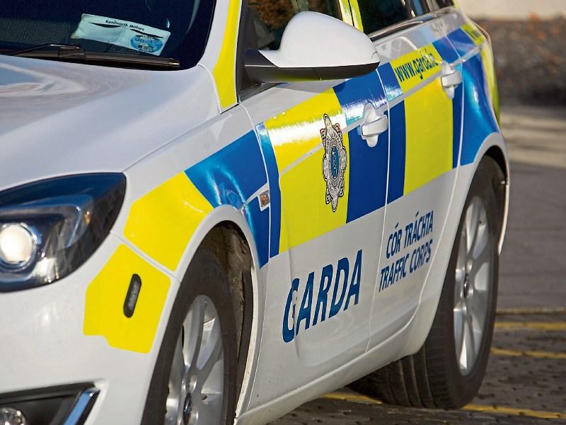 Masked raiders smashed car as it attempted to block their escape near Kildare town