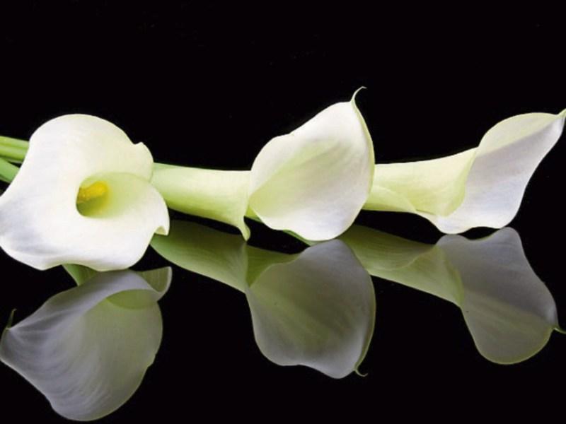 Recent deaths in Kildare