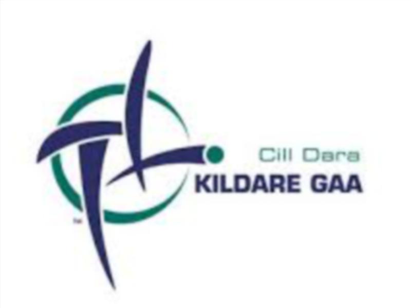Weekend GAA wrap-up and this weeks Championship fixtures
