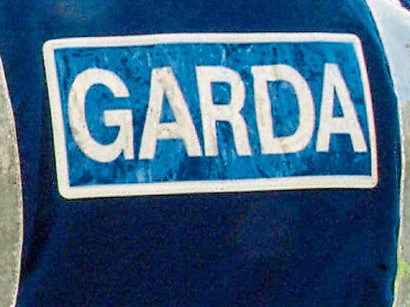 Five new gardai for Kildare 'disappointing'