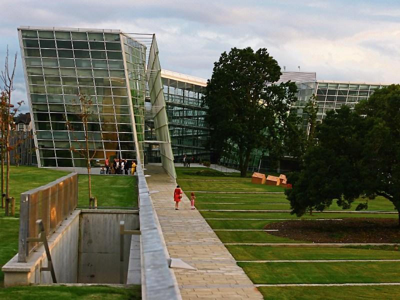Kildare Short Grass film award winners announced