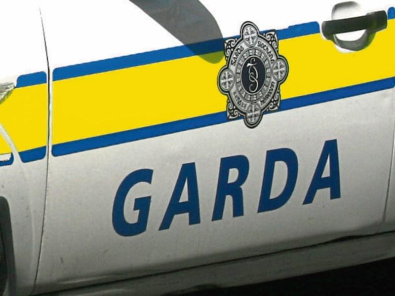 Huge cannabis bust in Kildare - two due in court today