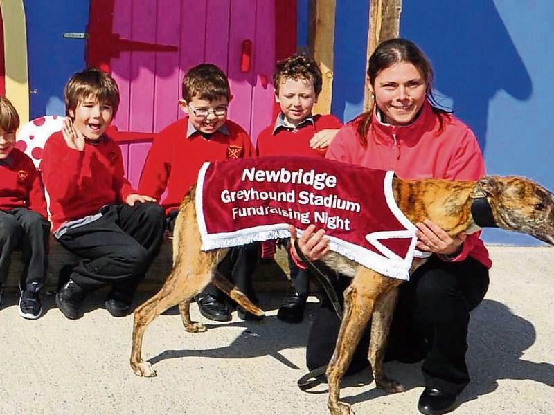 Halverstown National School fundraiser at Newbridge Greyhound Stadium