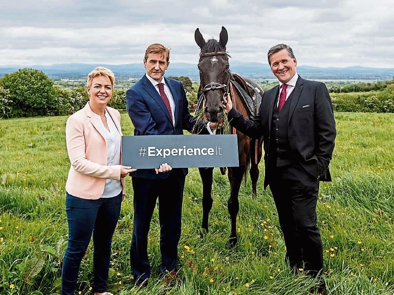 Fancy owning a bit of a racehorse? Kildare's Horse Racing Ireland launches 'owner for a day' scheme