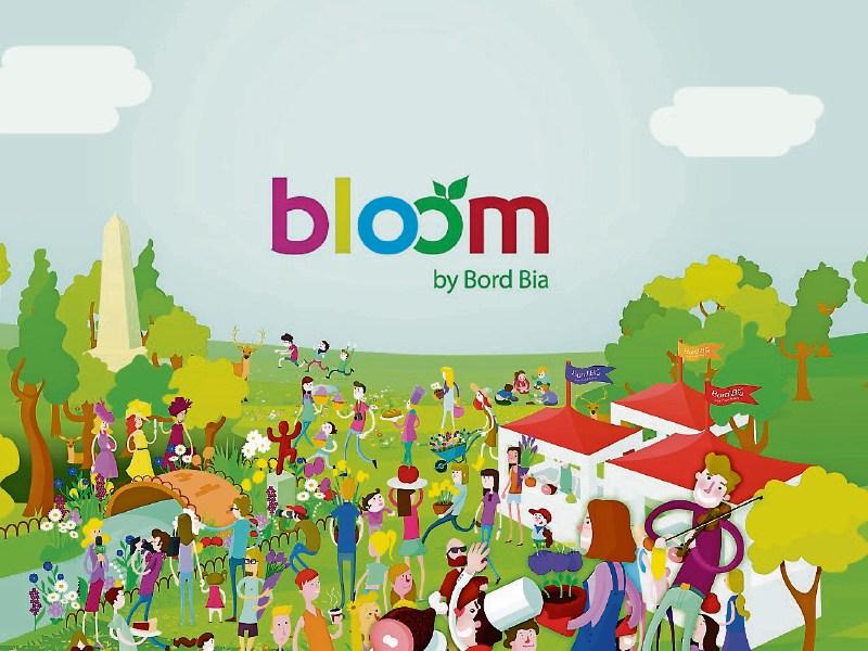 Maynooth nursing home sponsors special Bloom dementia garden