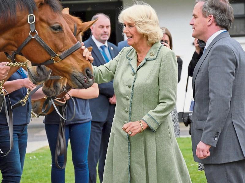 Kildare Gardai investigate break in at National Stud