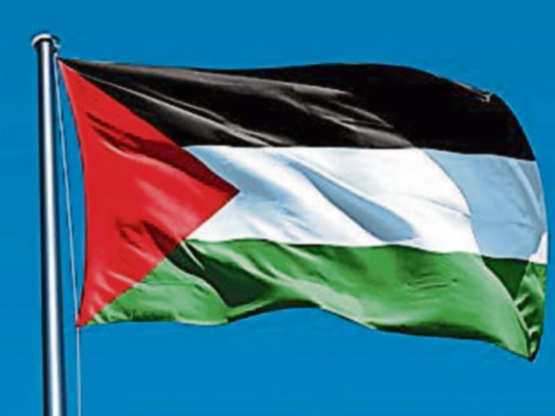 Kildare County Council vote against motion to fly Palestinian flag