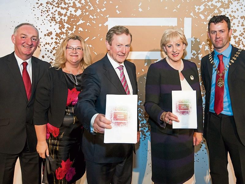 New plan to promote culture in Kildare