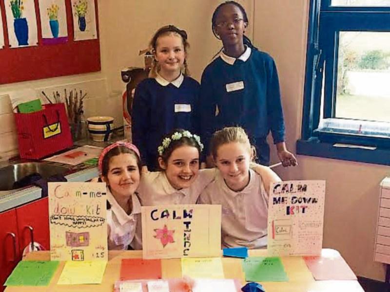 Kildare students get top marks for entrepreneurial skills