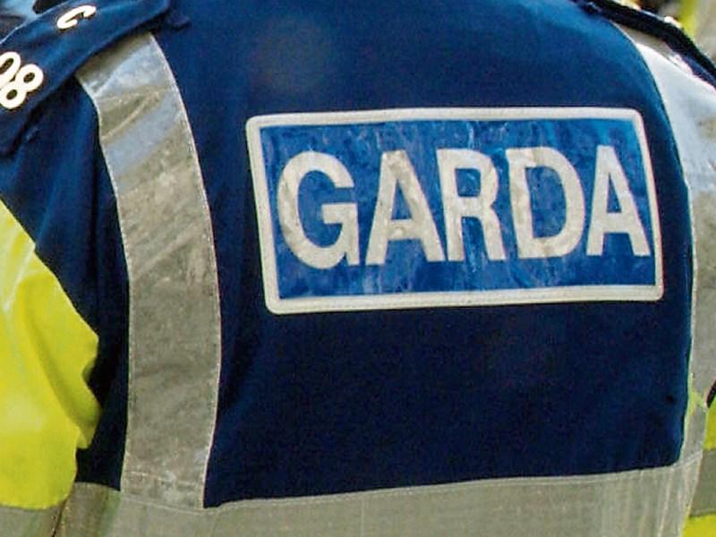 Rocks thrown through nursery window on the Nurney road