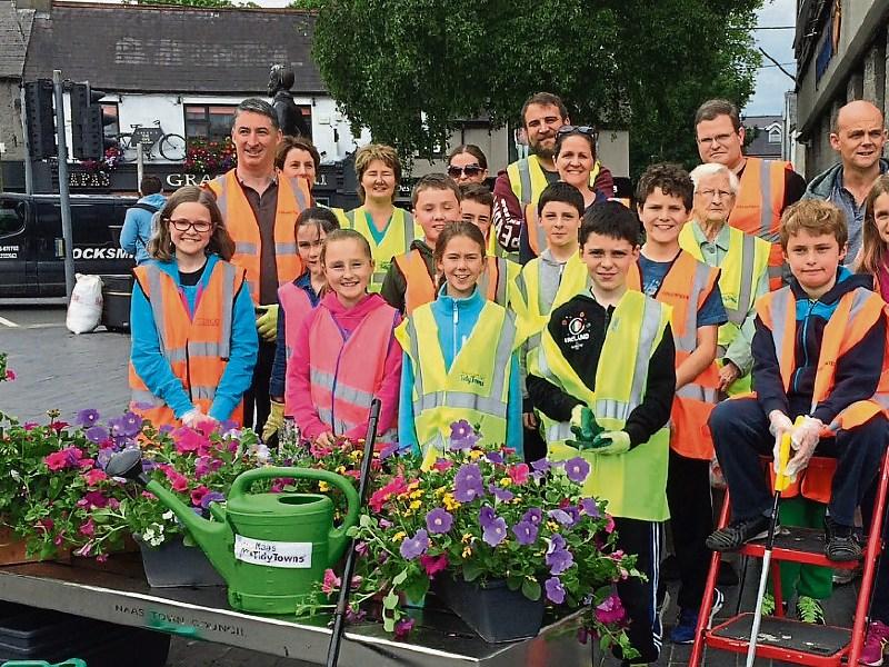 Naas Tidy Towns needs volunteers