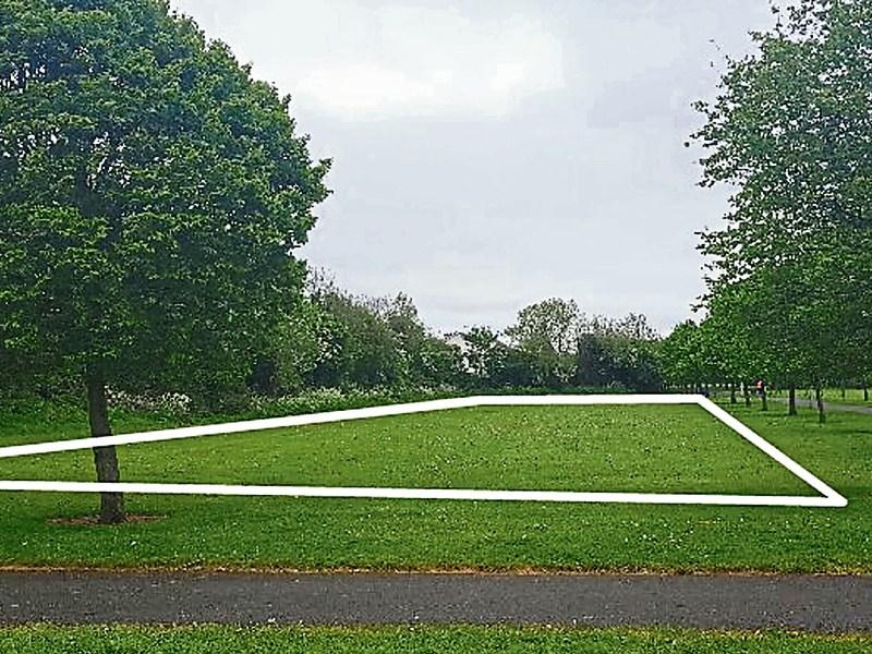 Dog park proposed for Monread Park in Naas