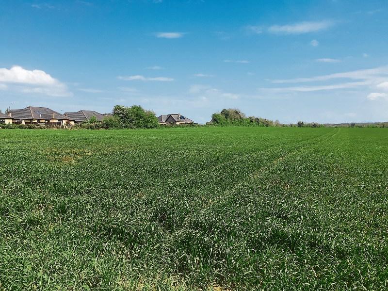 40 acres of land for sale at Kilmead, Athy