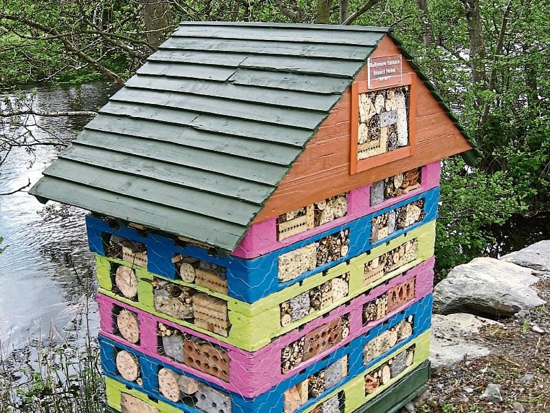 Ballymore Eustace gets its first Bug Hotel