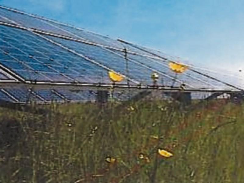 Another solar farm application lodged for Kildare