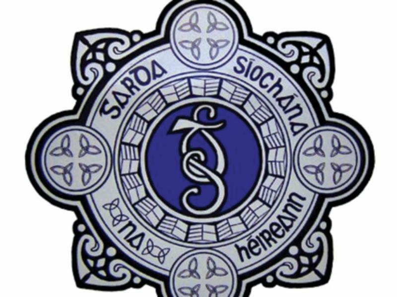 30 gallons of diesel stolen from a farm shed in Kildangan