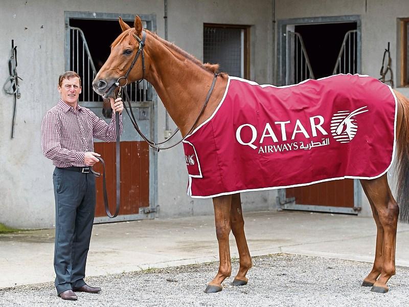 Jocky Johnny Murtagh announces Curragh Racecourse partnership with Qatar Airways